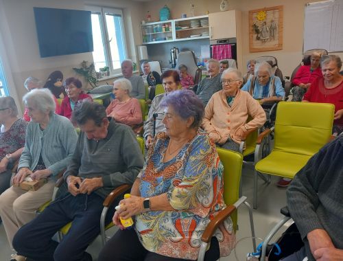 Bezpečnost seniorů v dopravě